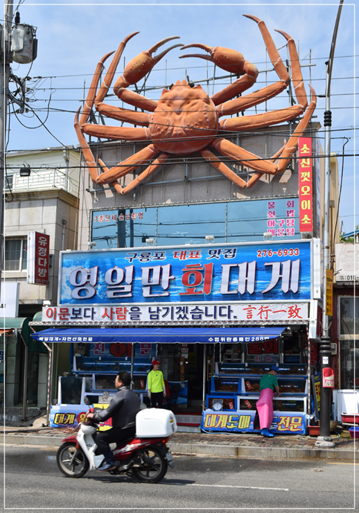 구룡포회 이미지