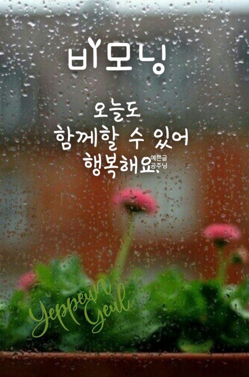 하나마트 이미지