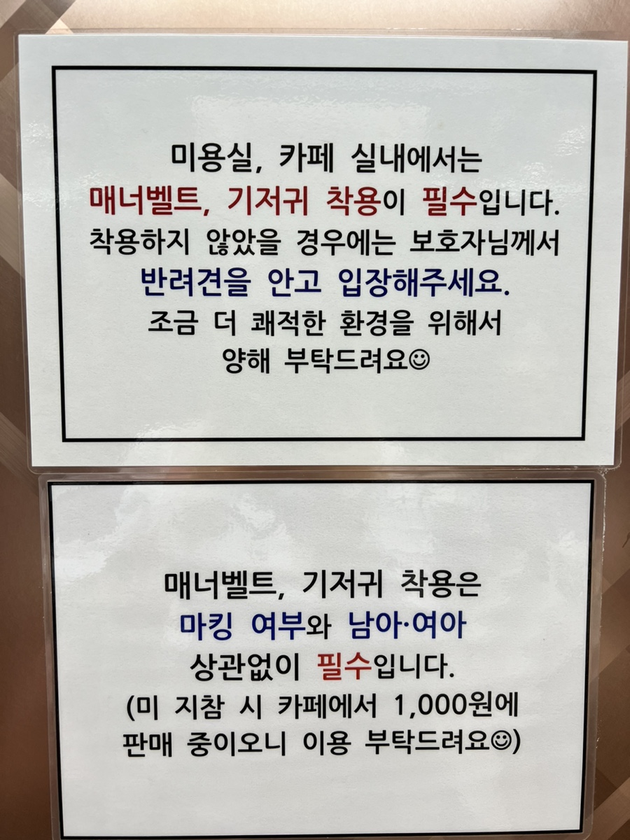 하남 펖파크 애견카페: 천연잔디 운동장 방문 후기 — 사진 5