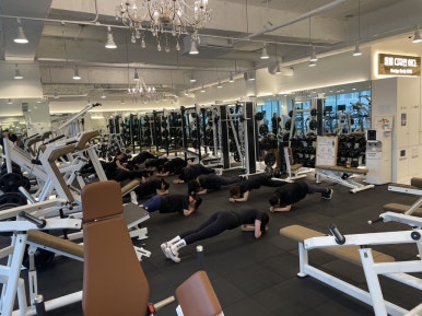 디바짐 이미지
