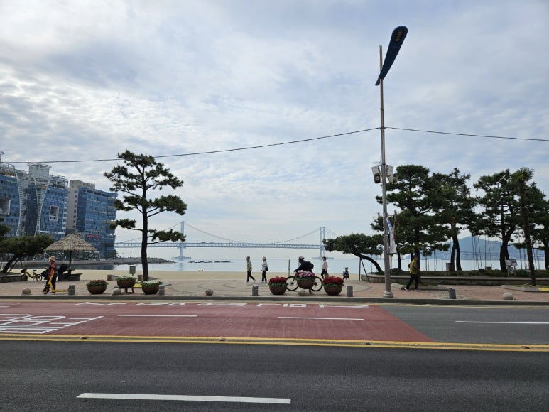 스타벅스광안리점 이미지