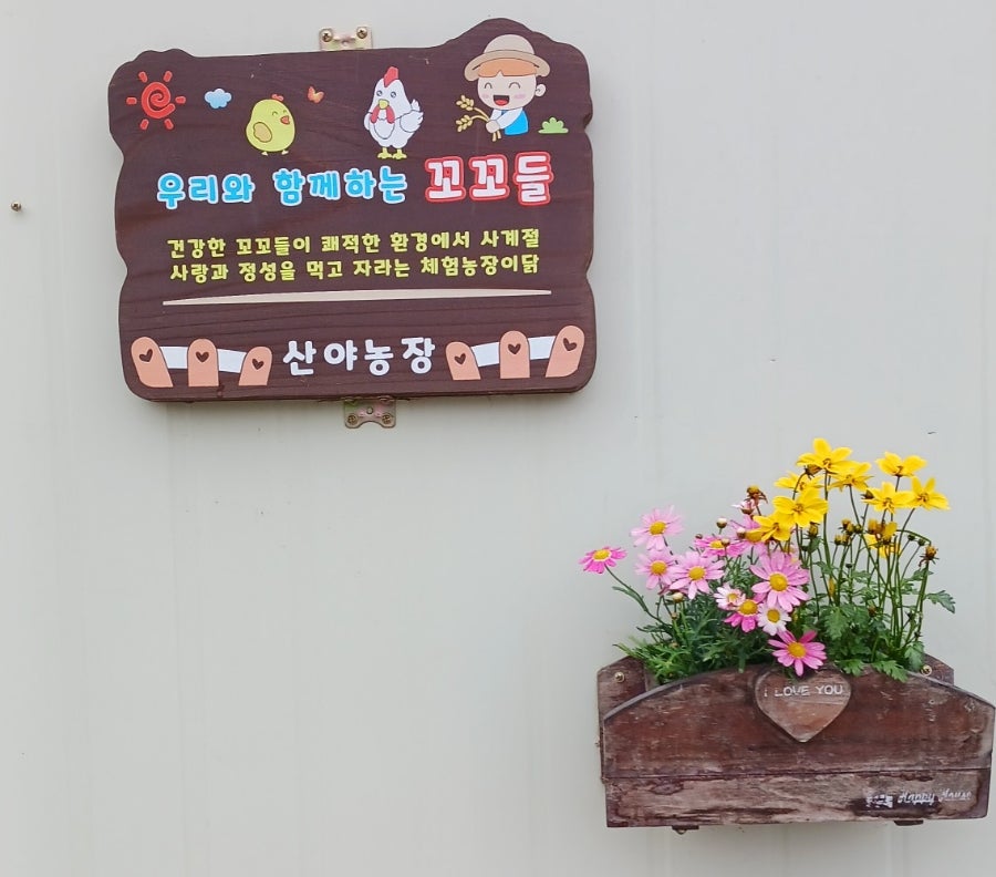 꼬꼬농장 이미지
