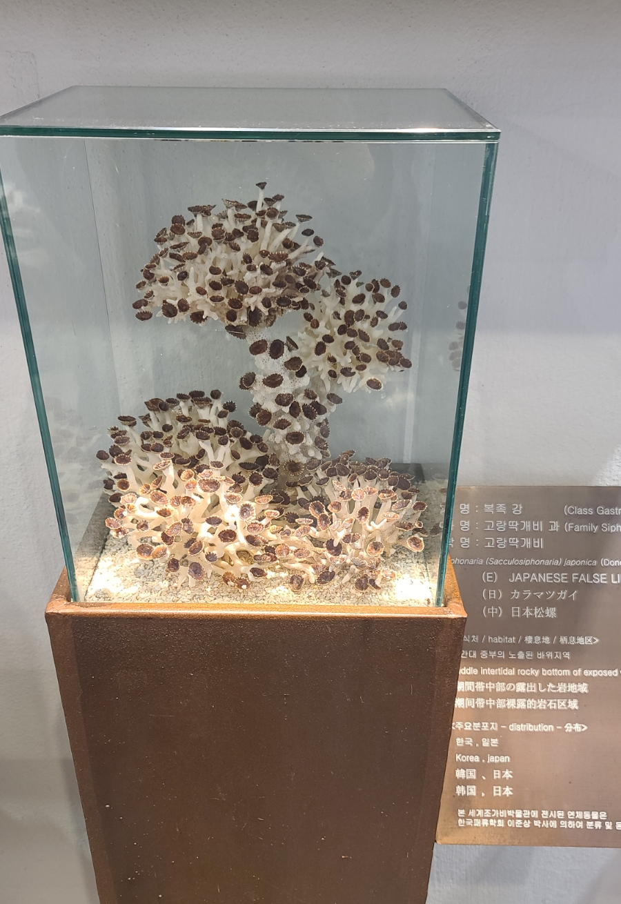 명연숙 이미지