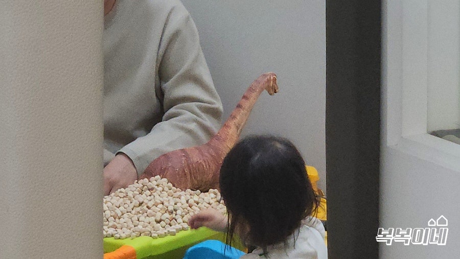키즈몽구평점 이미지