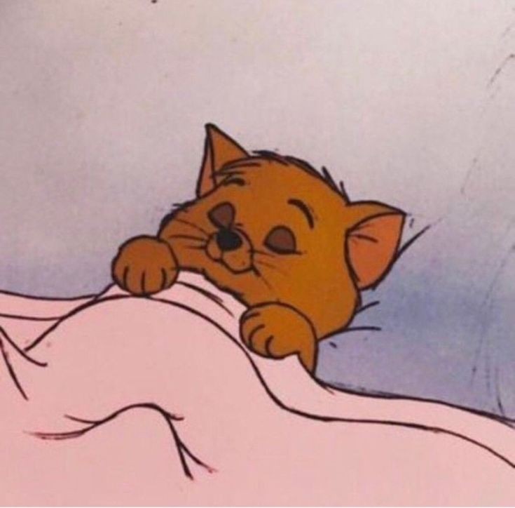 와인앤스테이크 이미지