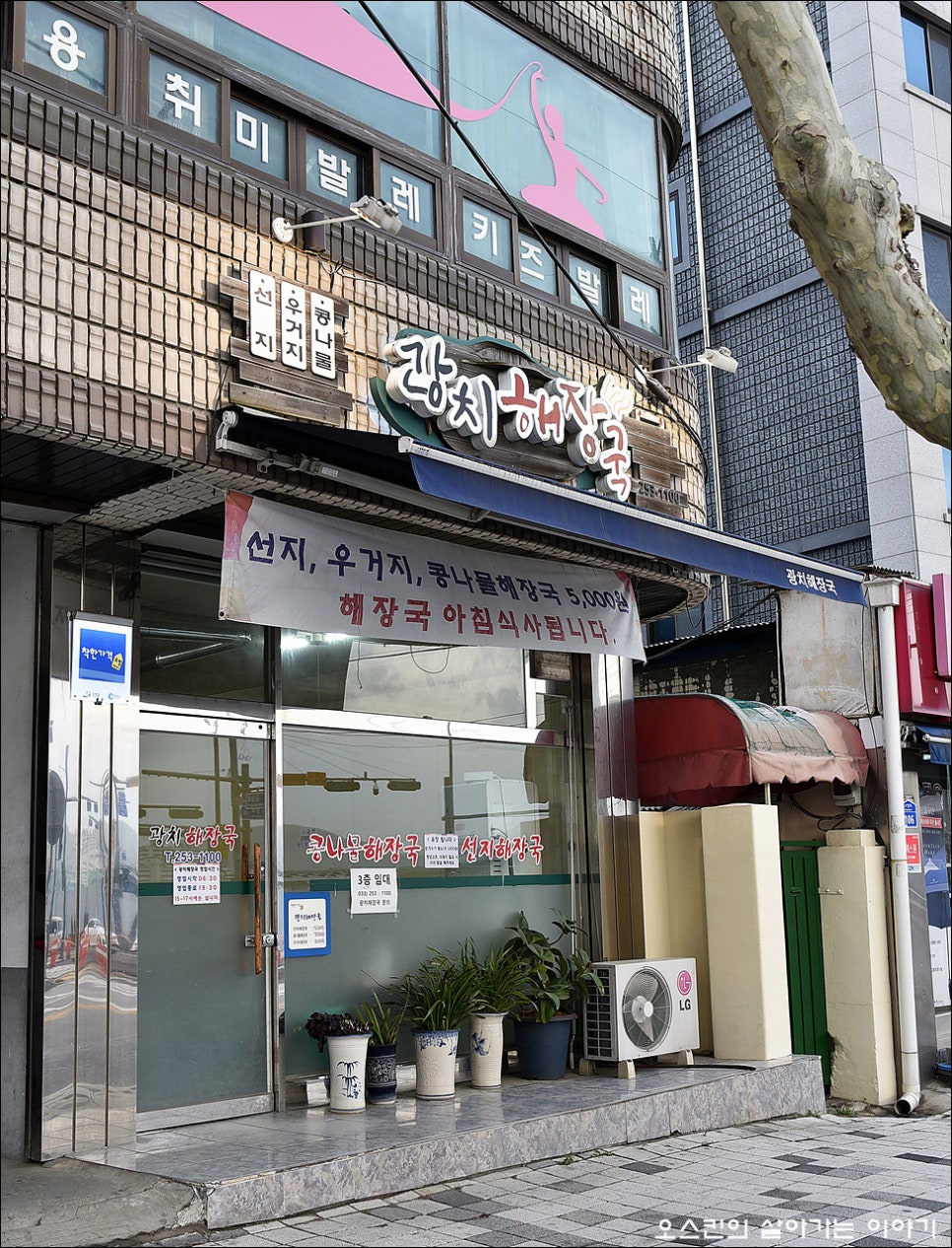 광치해장국 이미지