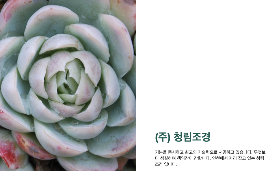 청림조경공사 이미지