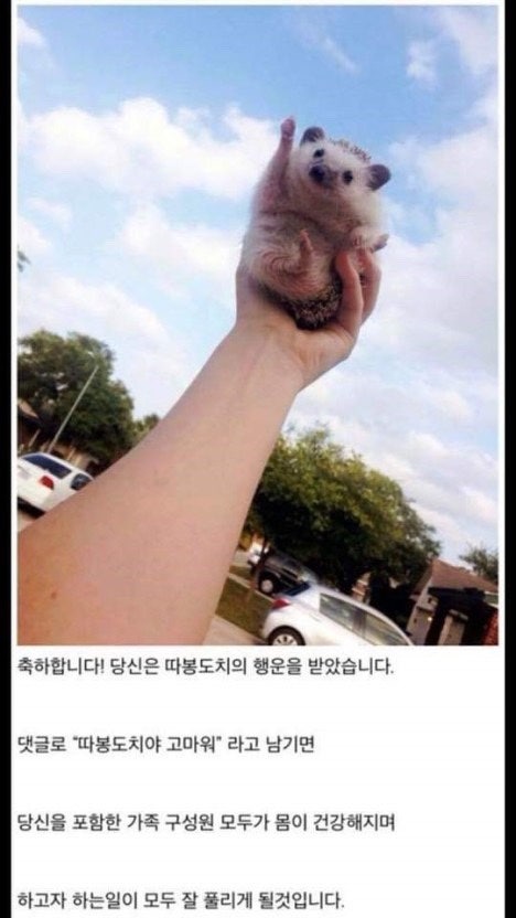 따봉 이미지
