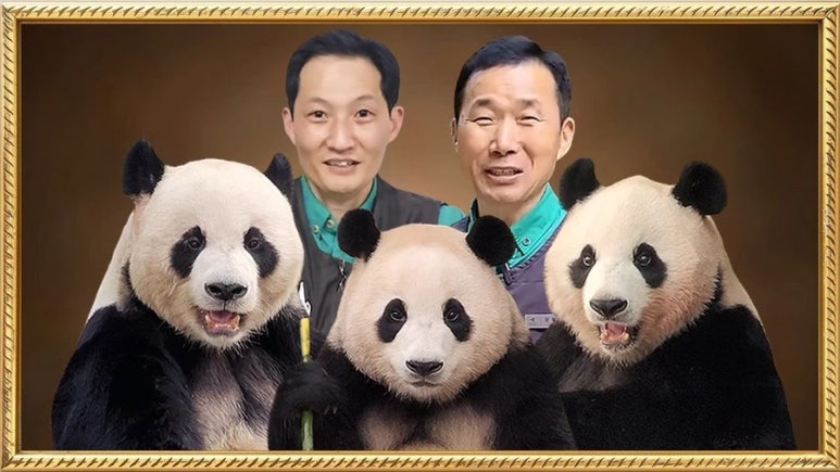 호박패밀리 이미지