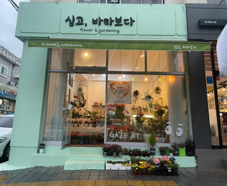 심고;바라보다 이미지