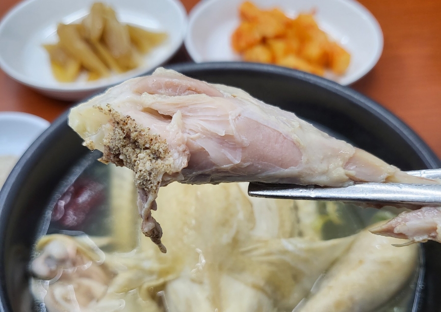 원조황칠나무녹두닭백숙 이미지