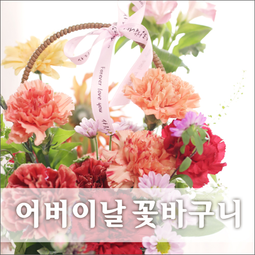 심고;바라보다 이미지
