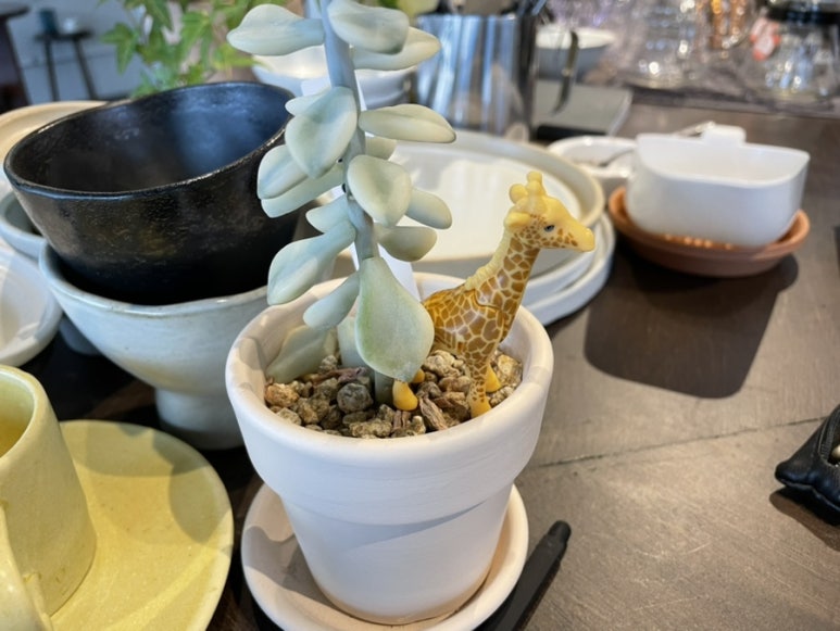 카페방백 이미지