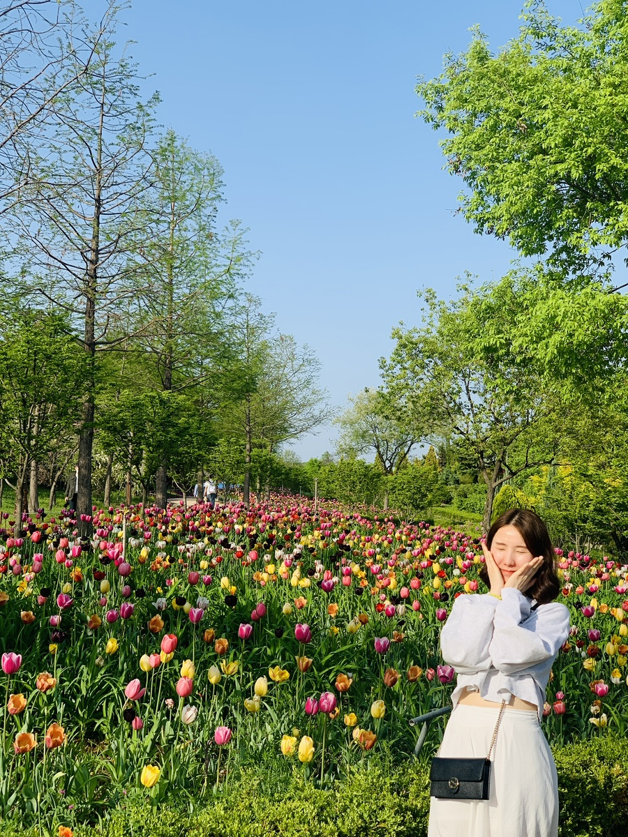 아유르헤어 이미지