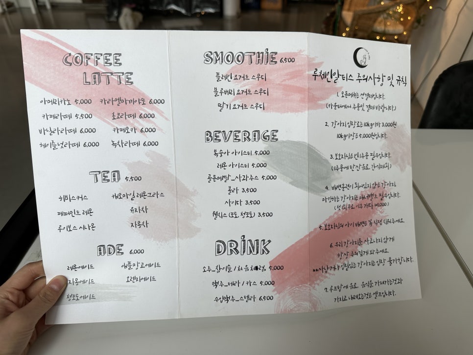 안양 루체인알티스 애견카페, 강아지 신나게 놀다왔어요 — 사진 6