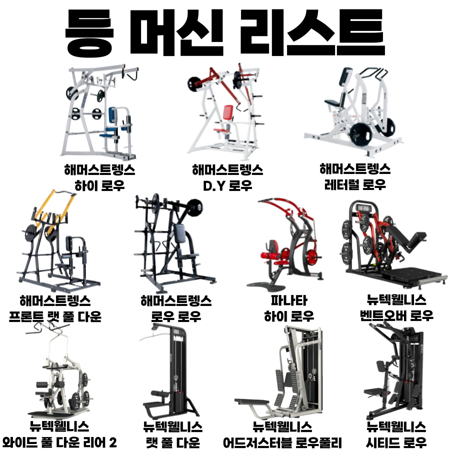 식스팩휘트니스 이미지