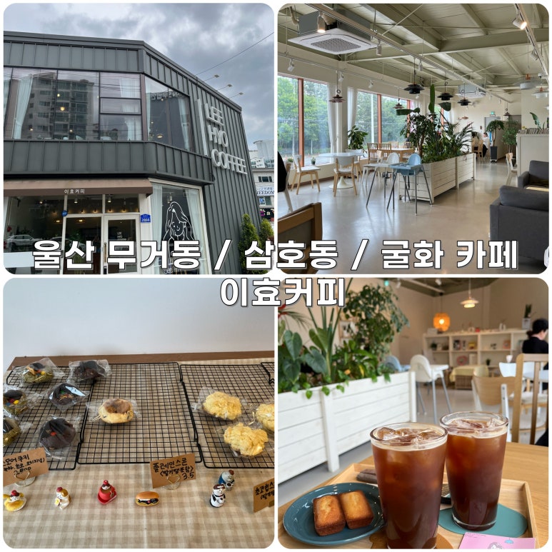 이효커피 이미지