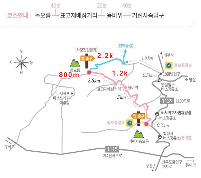 하모하모여행사 이미지