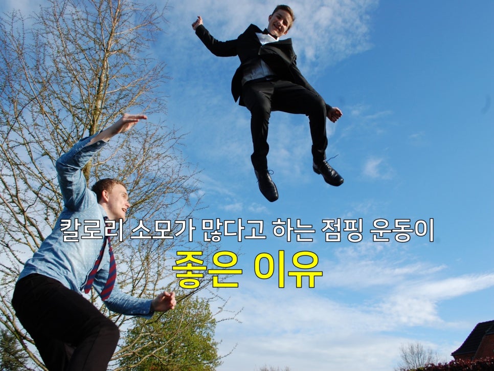 키즈고 점핑클럽 이미지
