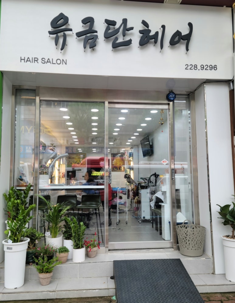유금단 헤어 이미지