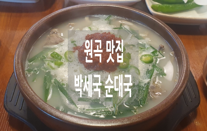 박세국 순대국 이미지
