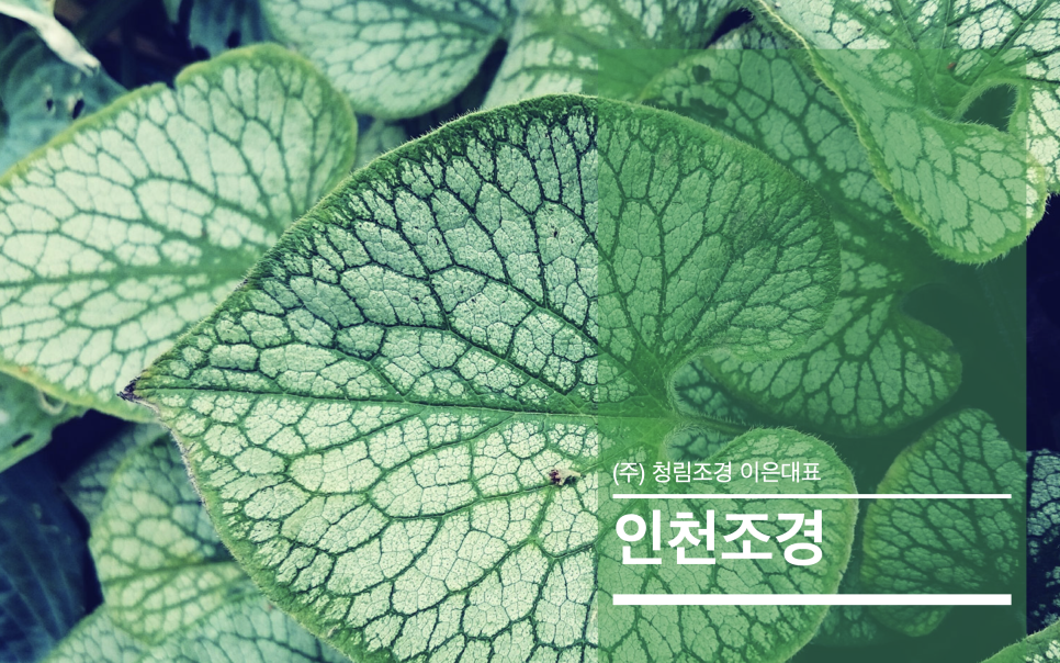 청림조경공사 이미지