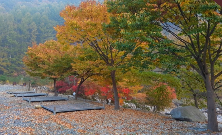 고향펜션캠핑 이미지