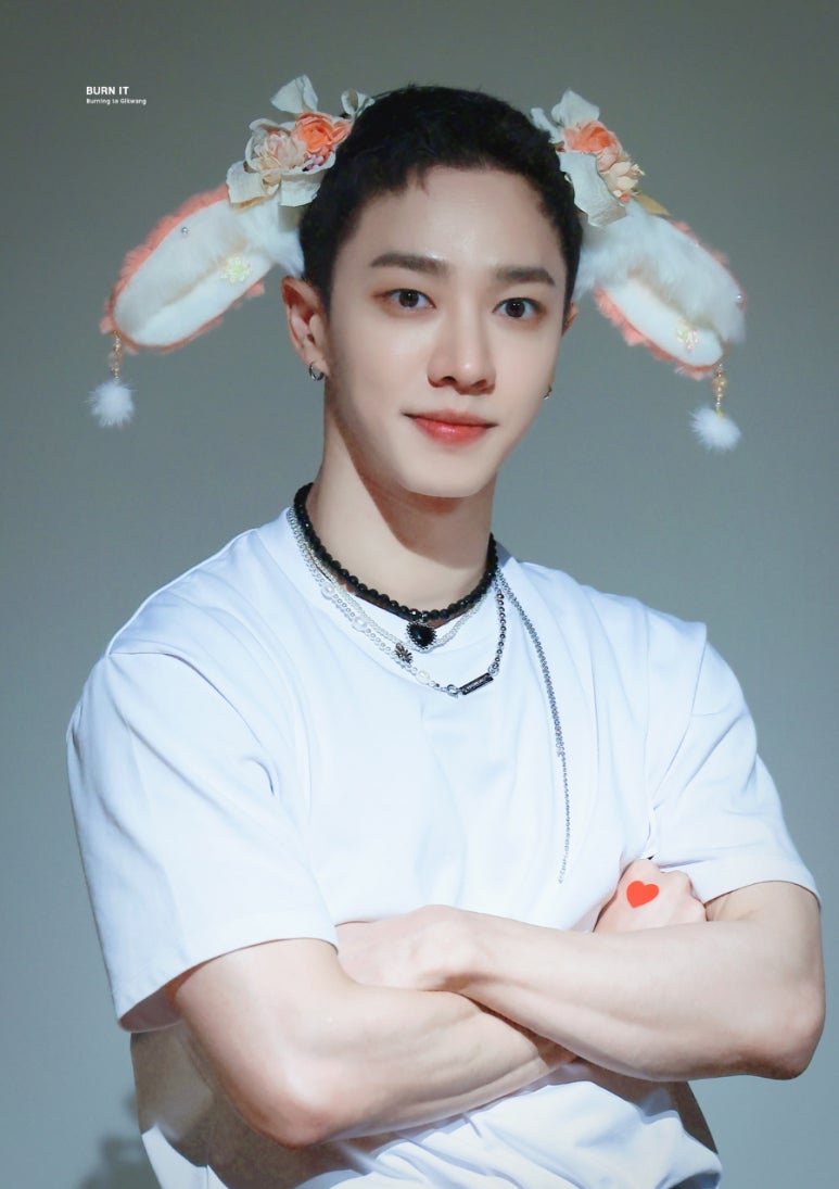 제이제이뮤즈 이미지