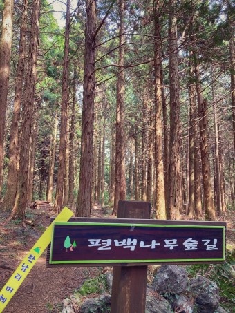 아이클린 이미지