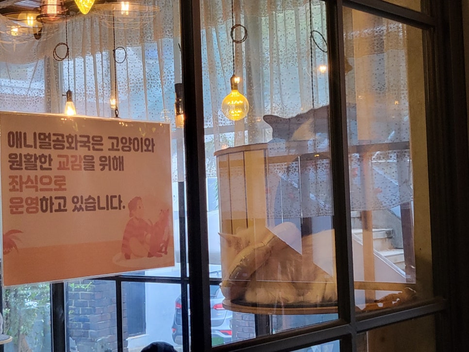 애니멀공화국 이미지