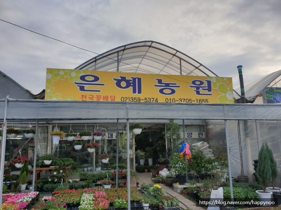 은혜꽃농원 이미지