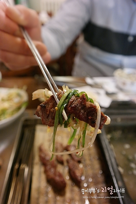 토성오리 이미지