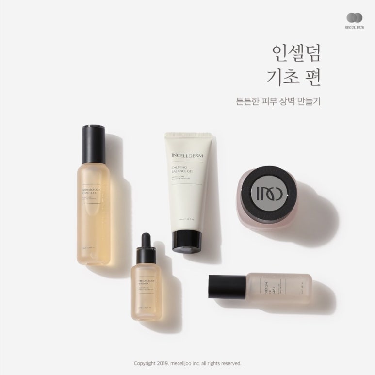 인셀덤 아카데미 이미지