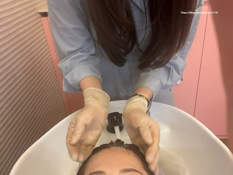니르헤어 이미지