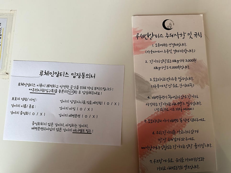 안양 루체인알티스 애견카페, 강아지 신나게 놀다왔어요 — 사진 4