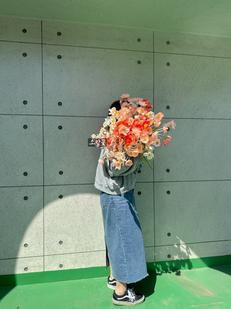 스튜디오 양귀비 이미지