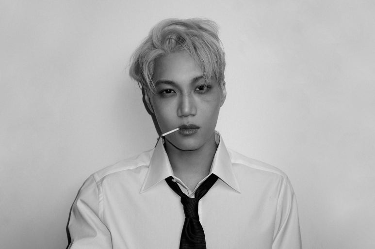 나비글로벌네트워크 이미지