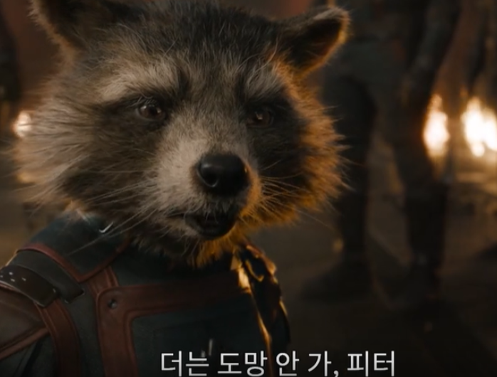 시네마노래짱 이미지