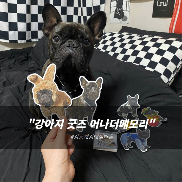 어나더커스텀 이미지