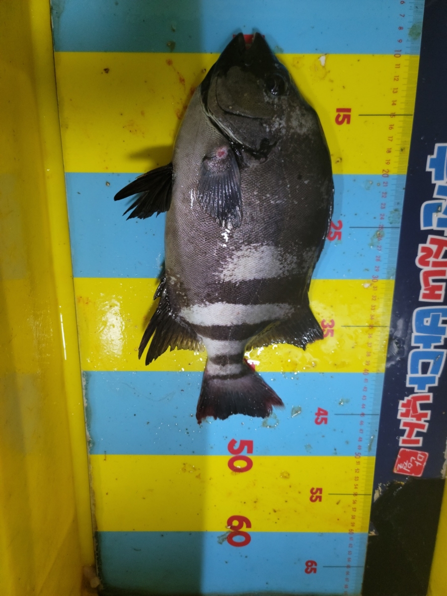 부산실내바다낚시터 이미지