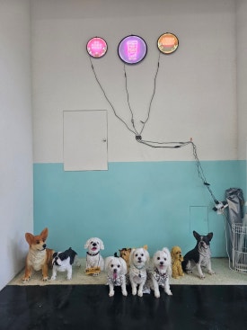 디에이카페 이미지