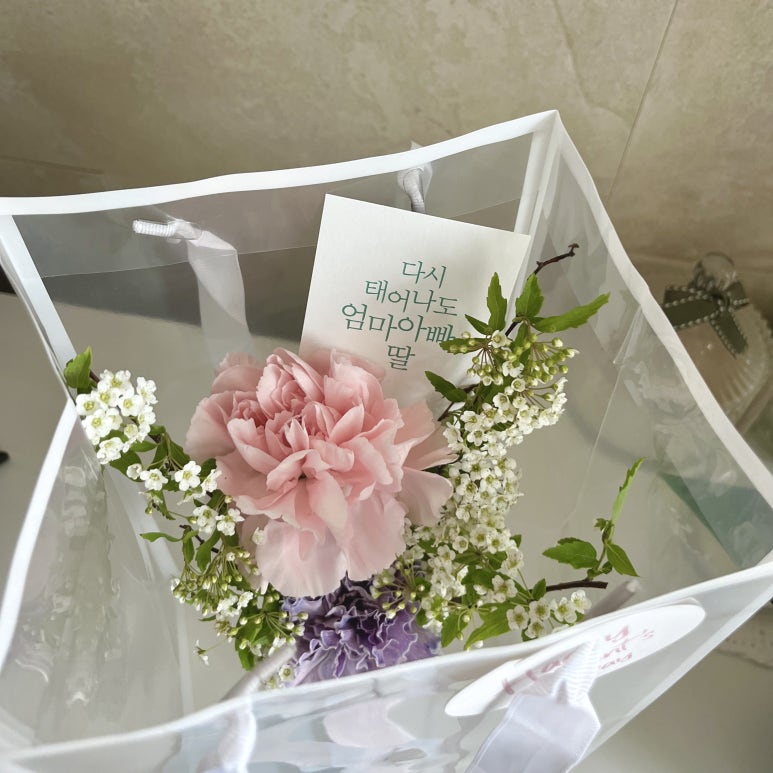 제이스블루메 이미지