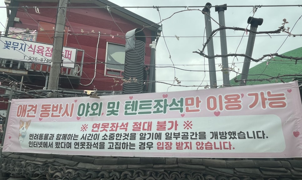 꽃무지식육점 이미지