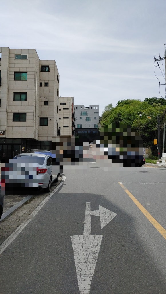 마이온네이처 이미지