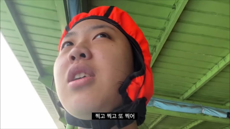 새로미 이미지