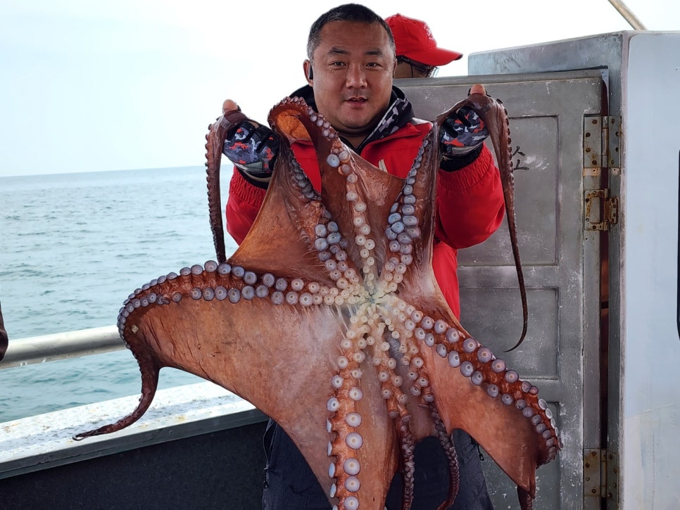 사천대물낚시 이미지