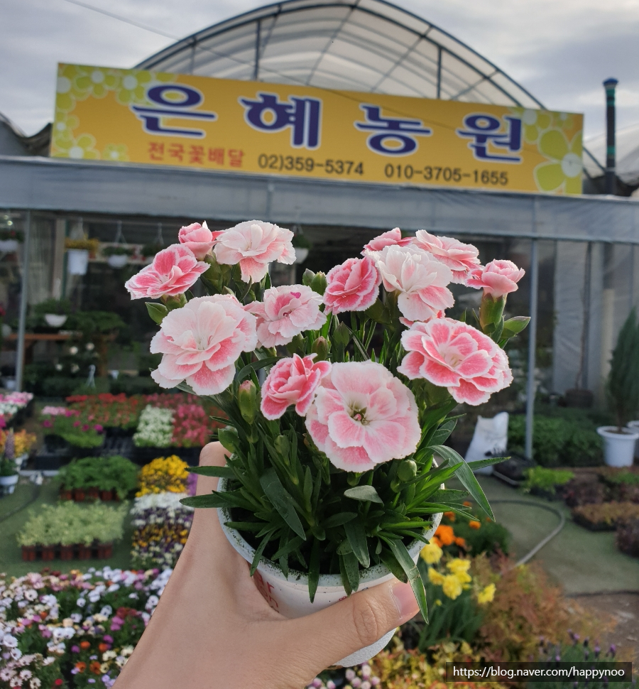 은혜꽃농원 이미지