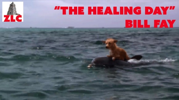 The Healing 이미지
