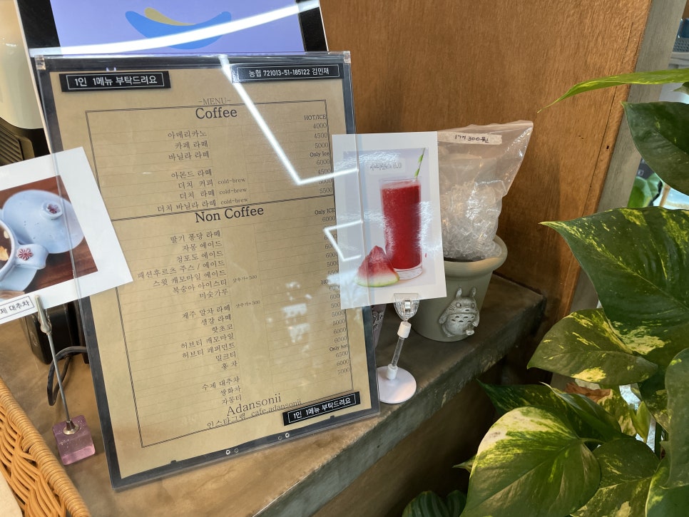식물카페아단소니용황점 이미지