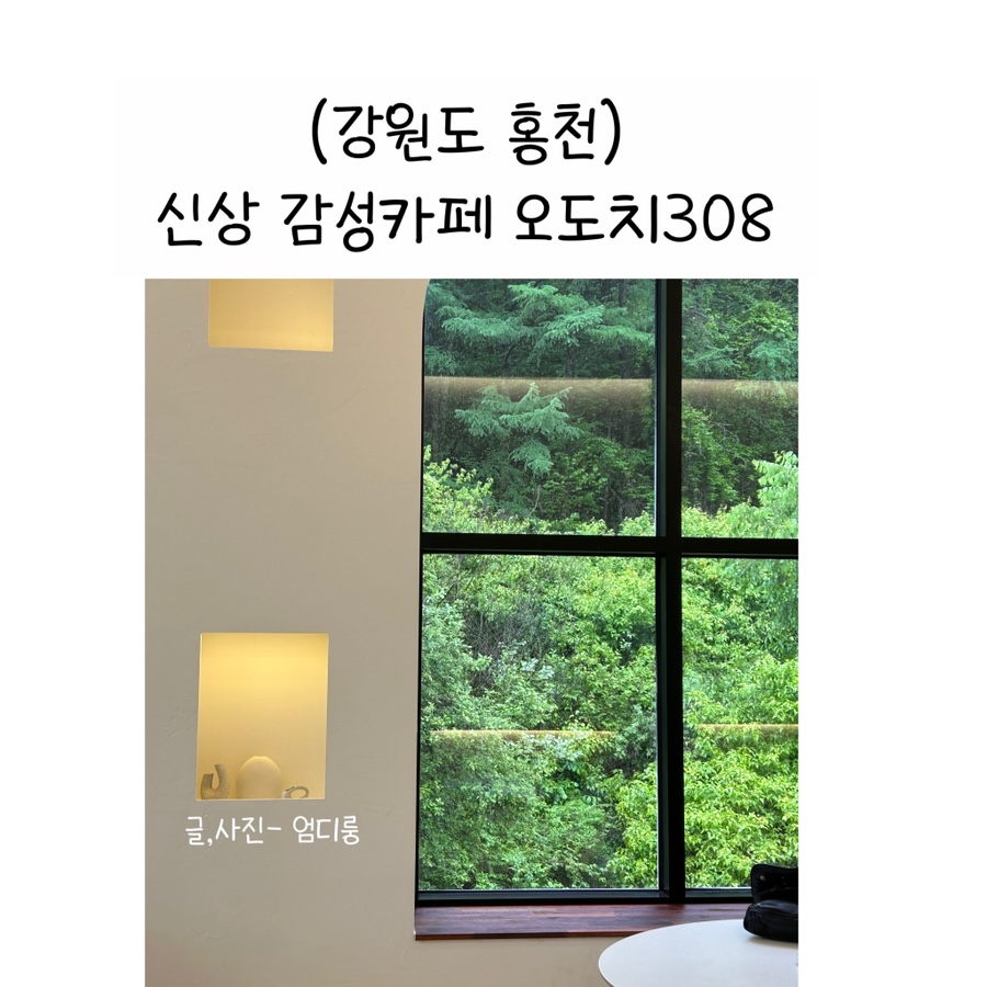 오도치308 이미지